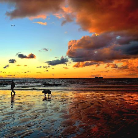 Studio Cap Sur Mer Boulogne-sur-Mer Dış mekan fotoğraf
