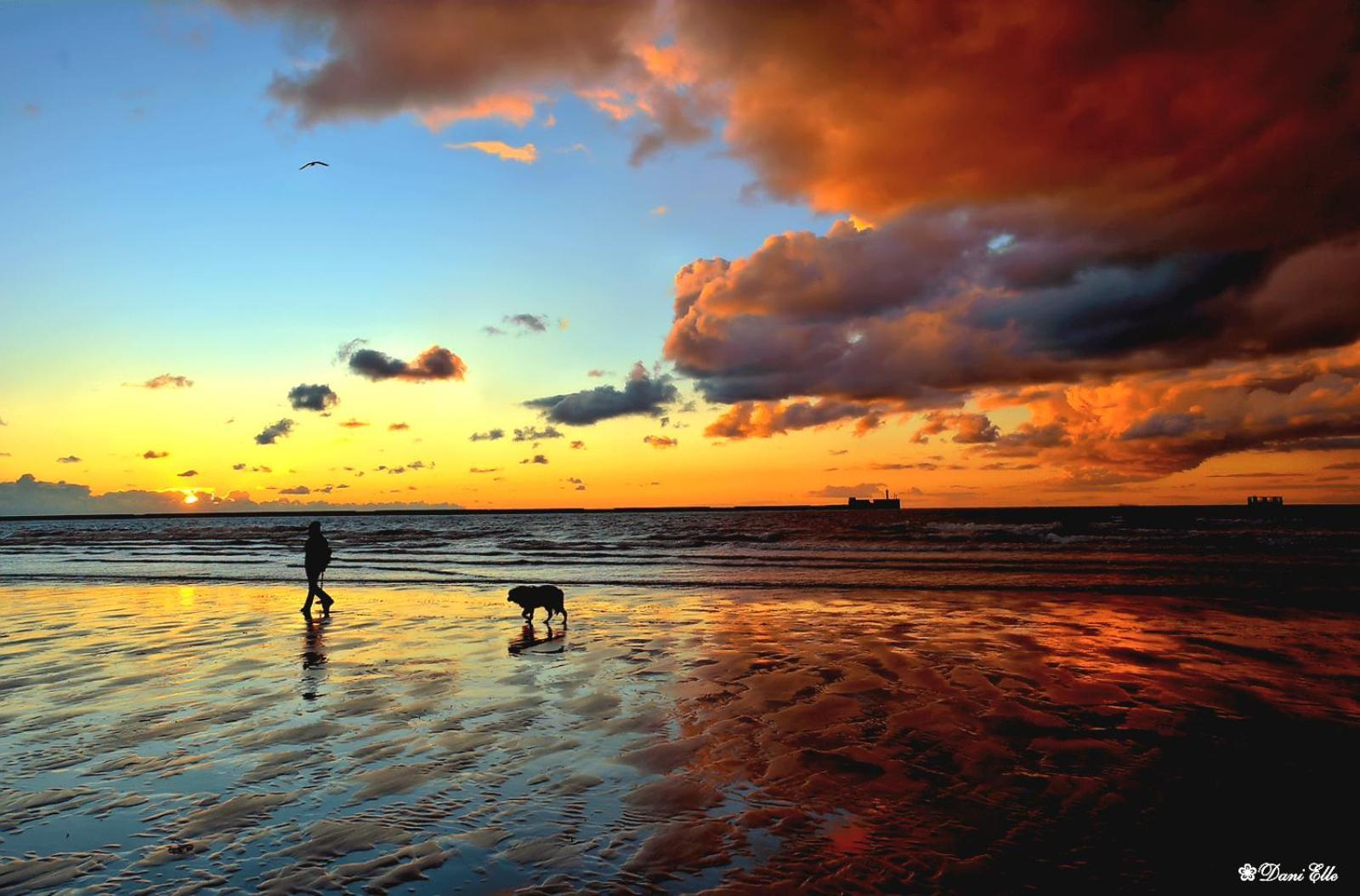 Studio Cap Sur Mer Boulogne-sur-Mer Dış mekan fotoğraf